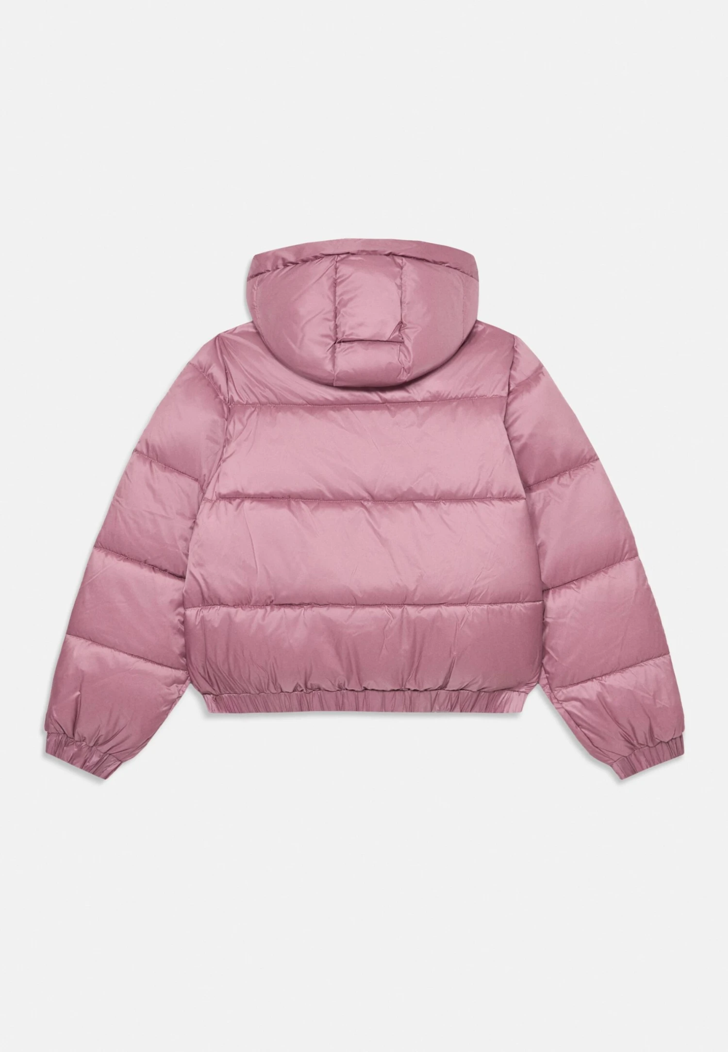 EA7 Emporio Armani JACKET - Winter Jacket - Dusky Orchid 4 EA7 Emporio Armani JACKET - Winter Jacket - Dusky Orchid - Image 2