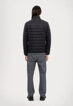 EA7 Emporio Armani TRAIN CORE JACKET - Down Jacket - Black -Total Wear Store 325fdd97e3df4967b8d42c76f2205045