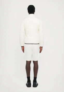 EA7 Emporio Armani JACKET - Down Jacket - Vanilla Ice -Total Wear Store 48148dfd4d1a4819b2742b55c479e514