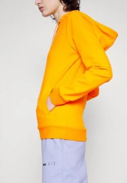 EA7 Emporio Armani Hoodie - Exuberance -Total Wear Store 5247ac5dd4d64c98a245bee790c24411