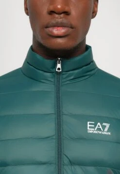 EA7 Emporio Armani TRAIN CORE JACKET - Down Jacket - Ponderosa Pine 28 EA7 Emporio Armani TRAIN CORE JACKET - Down Jacket - Ponderosa Pine -Total Wear Store 691e18b7b3d645c1b85c845dbd03a101