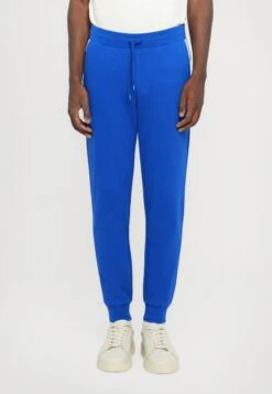 EA7 Emporio Armani TRAIN LINES PANTS - Tracksuit Bottoms - Surf The Web