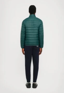 EA7 Emporio Armani TRAIN CORE JACKET - Down Jacket - Ponderosa Pine 24 EA7 Emporio Armani TRAIN CORE JACKET - Down Jacket - Ponderosa Pine -Total Wear Store 72484c75087840f384c71edb5d6f5e32