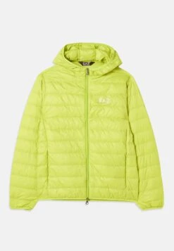 EA7 Emporio Armani TRAIN CORE LIGHT JACKET - Down Jacket - Tigers Eye -Total Wear Store 7b6f0124e9e44329a2798ccb65dbe680 5