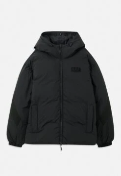 EA7 Emporio Armani MOUNTAIN HOODED JACKET LOGO - Winter Jacket - Mulled Basil -Total Wear Store 7d324eb84cc64c1ba8fdb38a1f4b0008