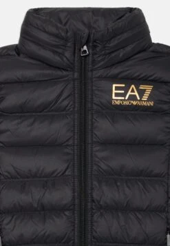 EA7 Emporio Armani UNISEX - Waistcoat - Black/gold -Total Wear Store 7da56dfca5c94667b1270a8f4bea5c8c