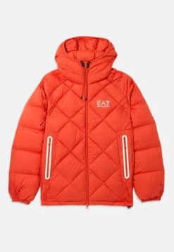 EA7 Emporio Armani MOUNTAIN QUILTED JACKET - Down Jacket - Molten Lava -Total Wear Store 8211fa55b54c4da5bfd0912028119a96