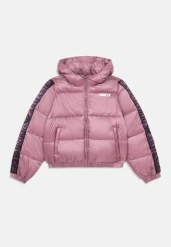 EA7 Emporio Armani JACKET - Winter Jacket - Dusky Orchid