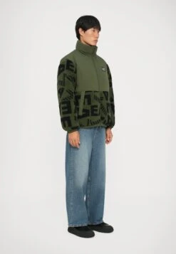 EA7 Emporio Armani MOUNTAIN JACKET LOGO - Winter Jacket - Beetle -Total Wear Store 94aa7196145d4ee8beb968a74163e0e4