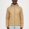 EA7 Emporio Armani TRAIN CORE LIGHT JACKET - Down Jacket - Tigers Eye 1 EA7 Emporio Armani TRAIN CORE LIGHT JACKET - Down Jacket - Tigers Eye -Total Wear Store 95c0bc53d79b4de7ac05497b1ba434e0