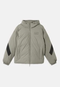 EA7 Emporio Armani MOUNTAIN HOODED JACKET LOGO - Winter Jacket - Mulled Basil -Total Wear Store 97ebd92c94df481e85ed88b3c86178bf