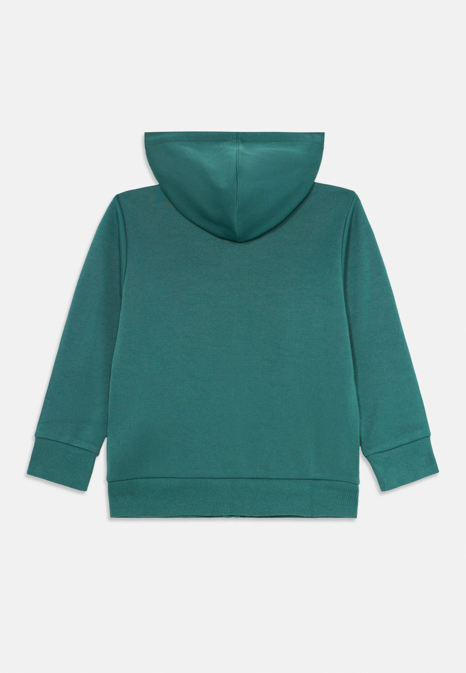 Emporio Armani UNISEX - Hoodie - Silver Pine 4 Emporio Armani UNISEX - Hoodie - Silver Pine - Image 2