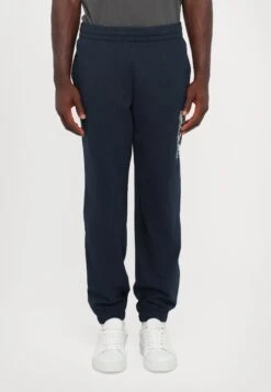 EA7 Emporio Armani TRAIN VISIBILITY - Tracksuit Bottoms - Blue/cream