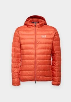 EA7 Emporio Armani TRAIN CORE LIGHT JACKET - Down Jacket - Macaw Green -Total Wear Store e3710c8c2ecc4bafbc394c3413fa876f 2