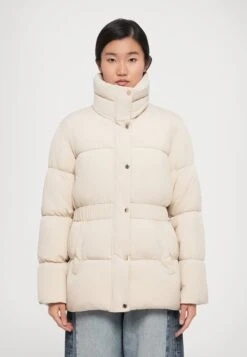 EA7 Emporio Armani BLOUSON JACKET - Winter Coat - Cement